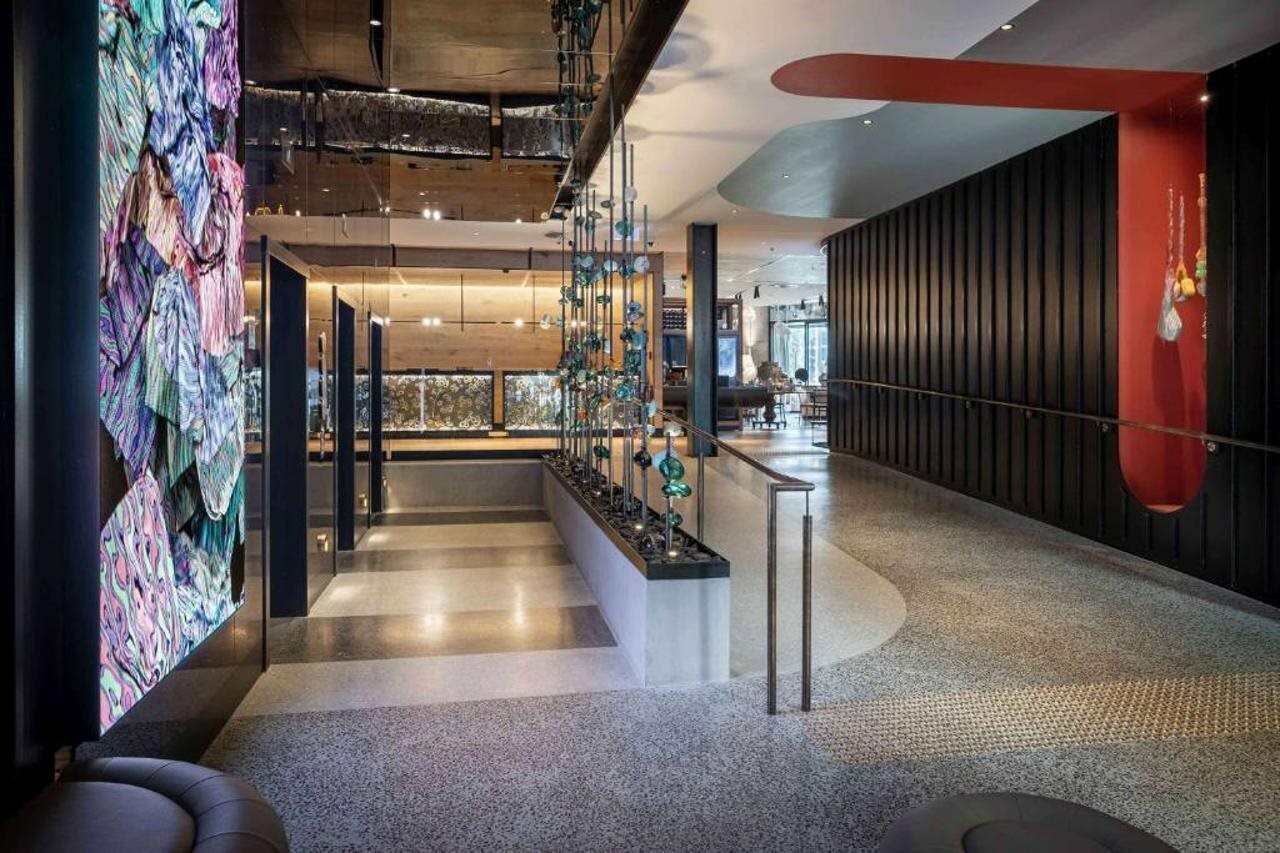 Фото Qt Auckland