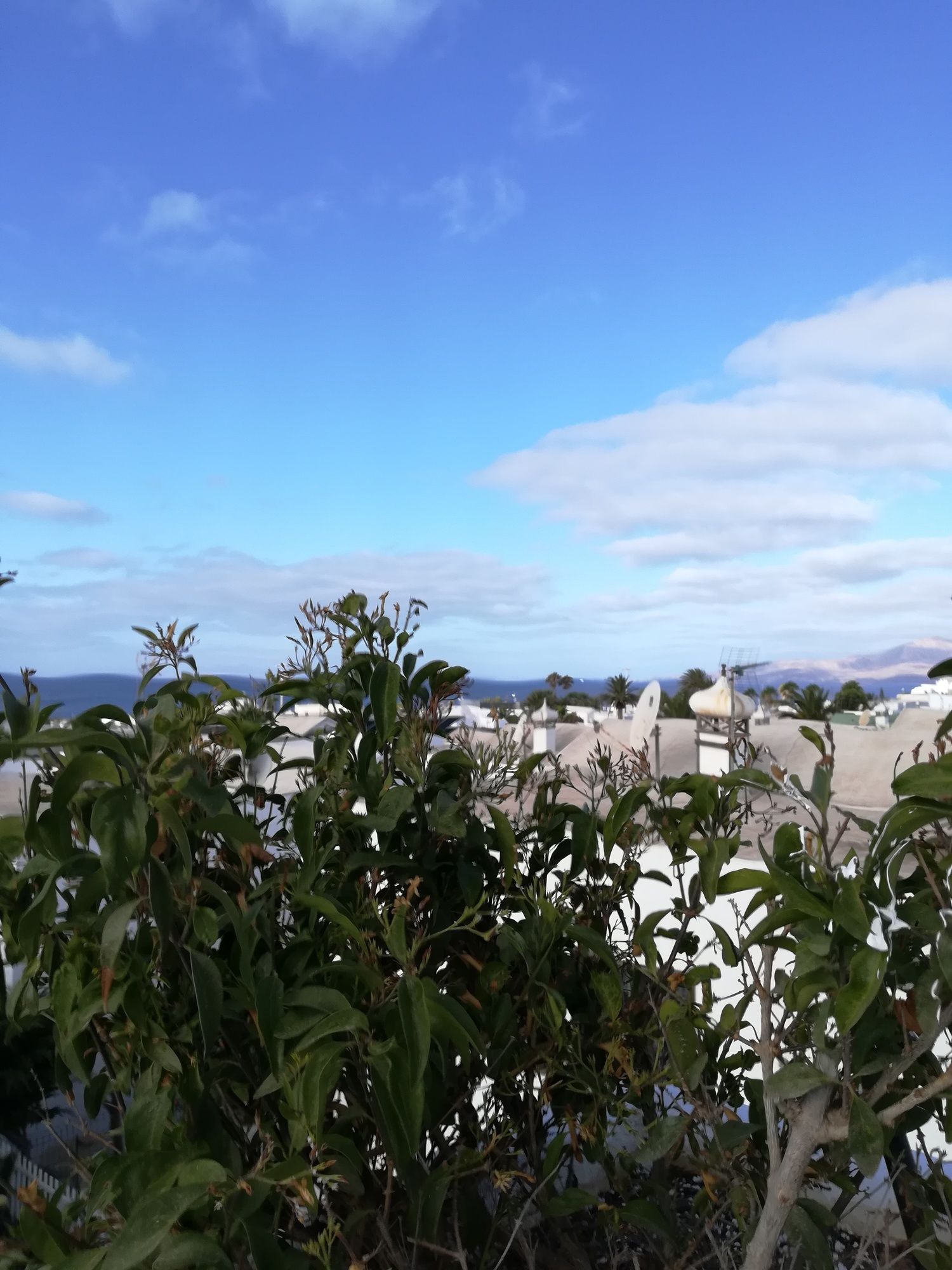 Фото Relaxia Lanzaplaya