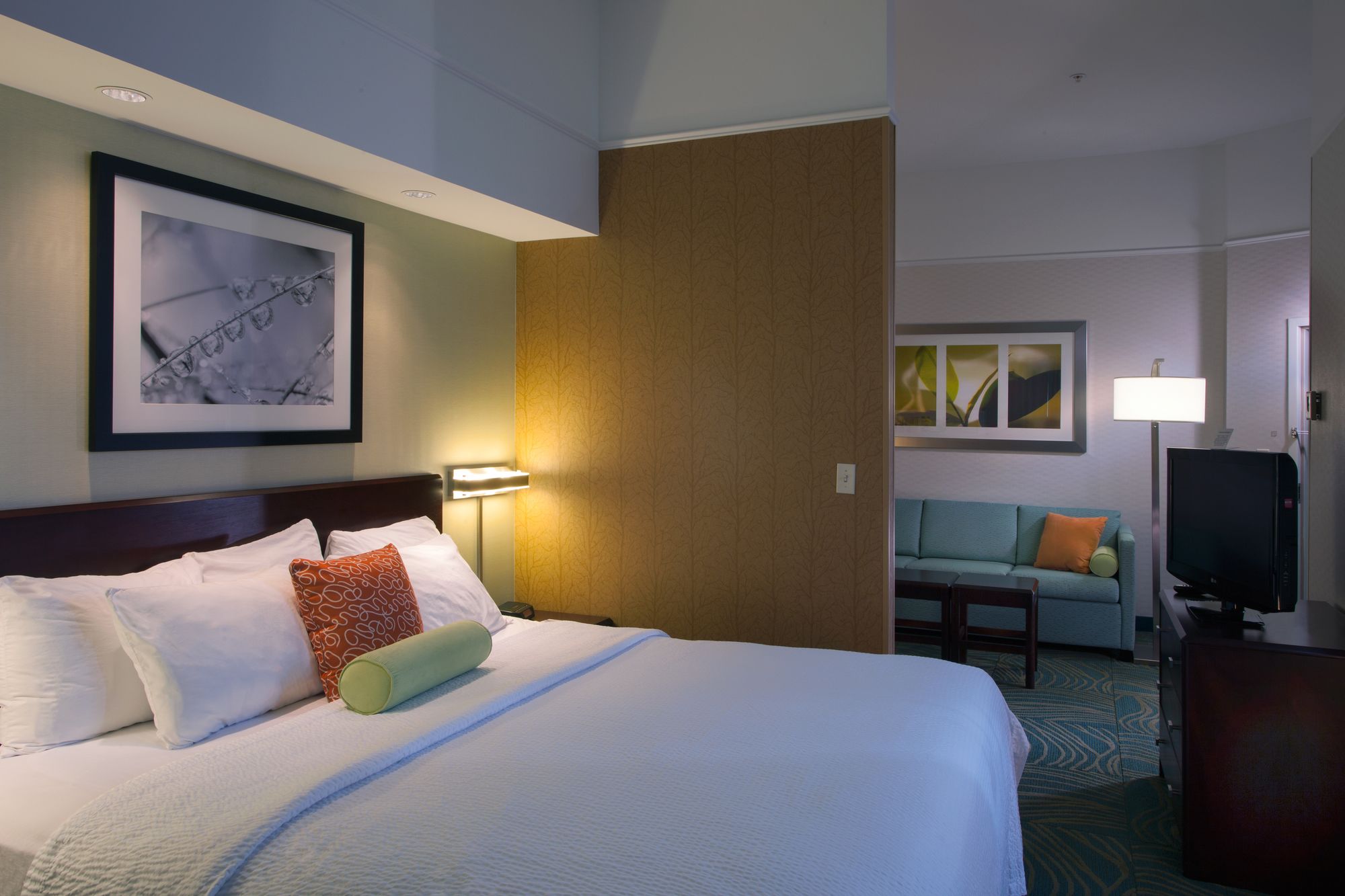 Фото SpringHill Suites Boise West/Eagle