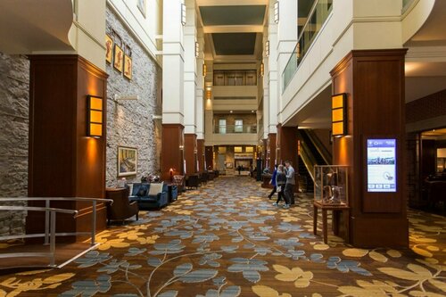 Внешний вид отеля Hyatt Regency Calgary в Калгарях, фото 5