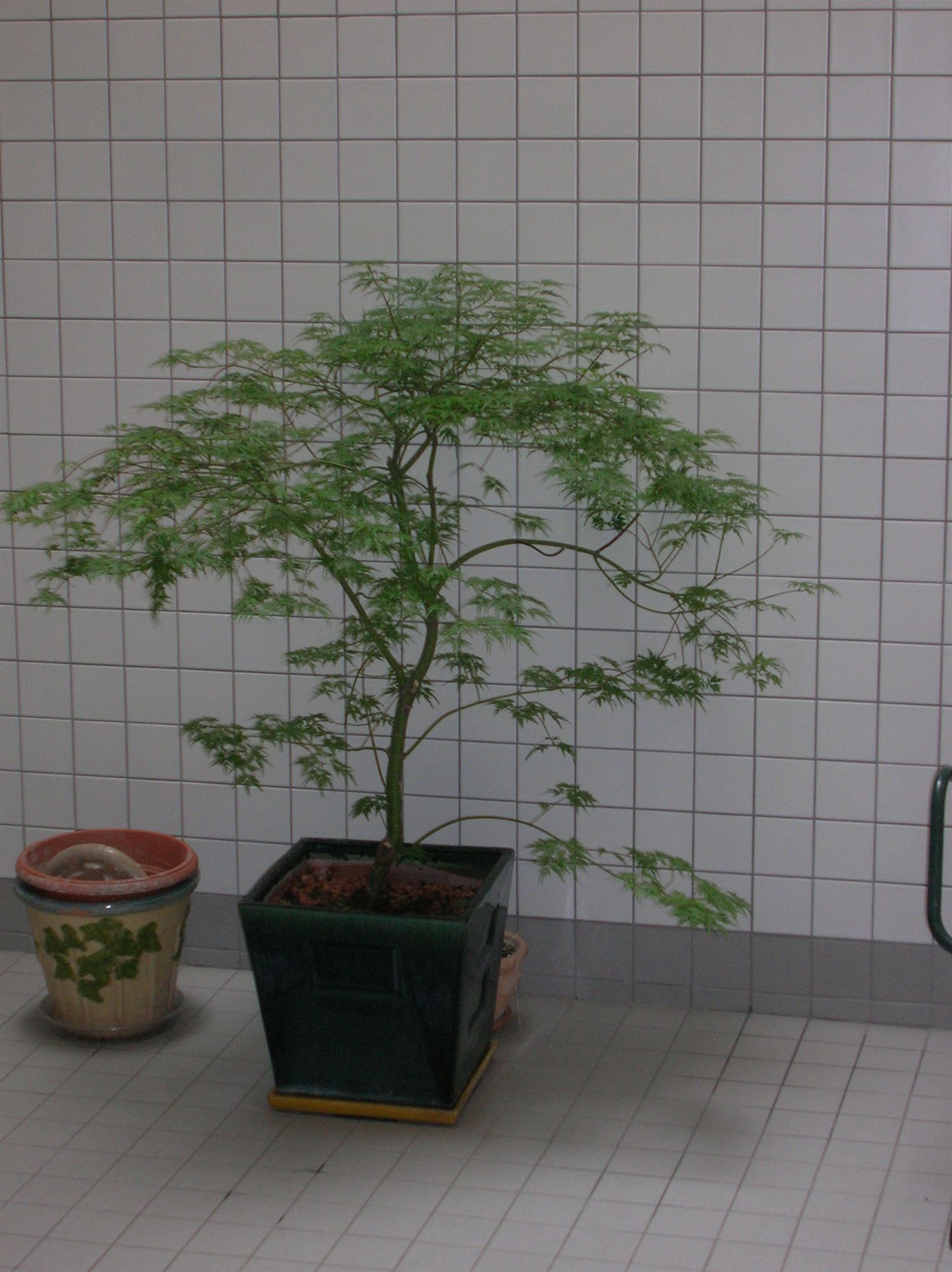 Фото Hotel Darcet Paris