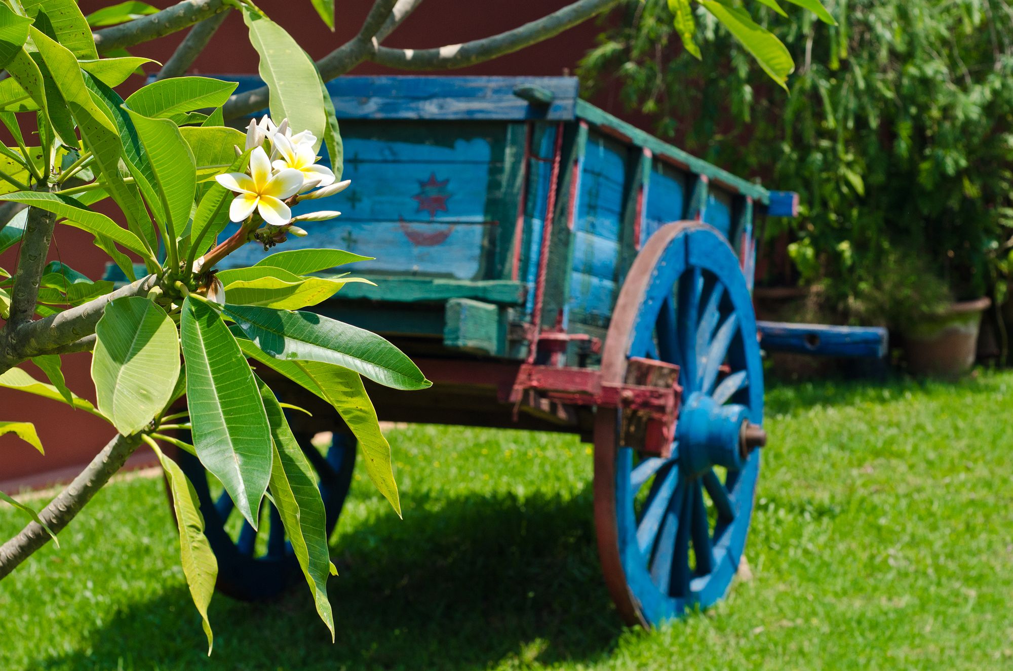 Фото Relais des Plateaux