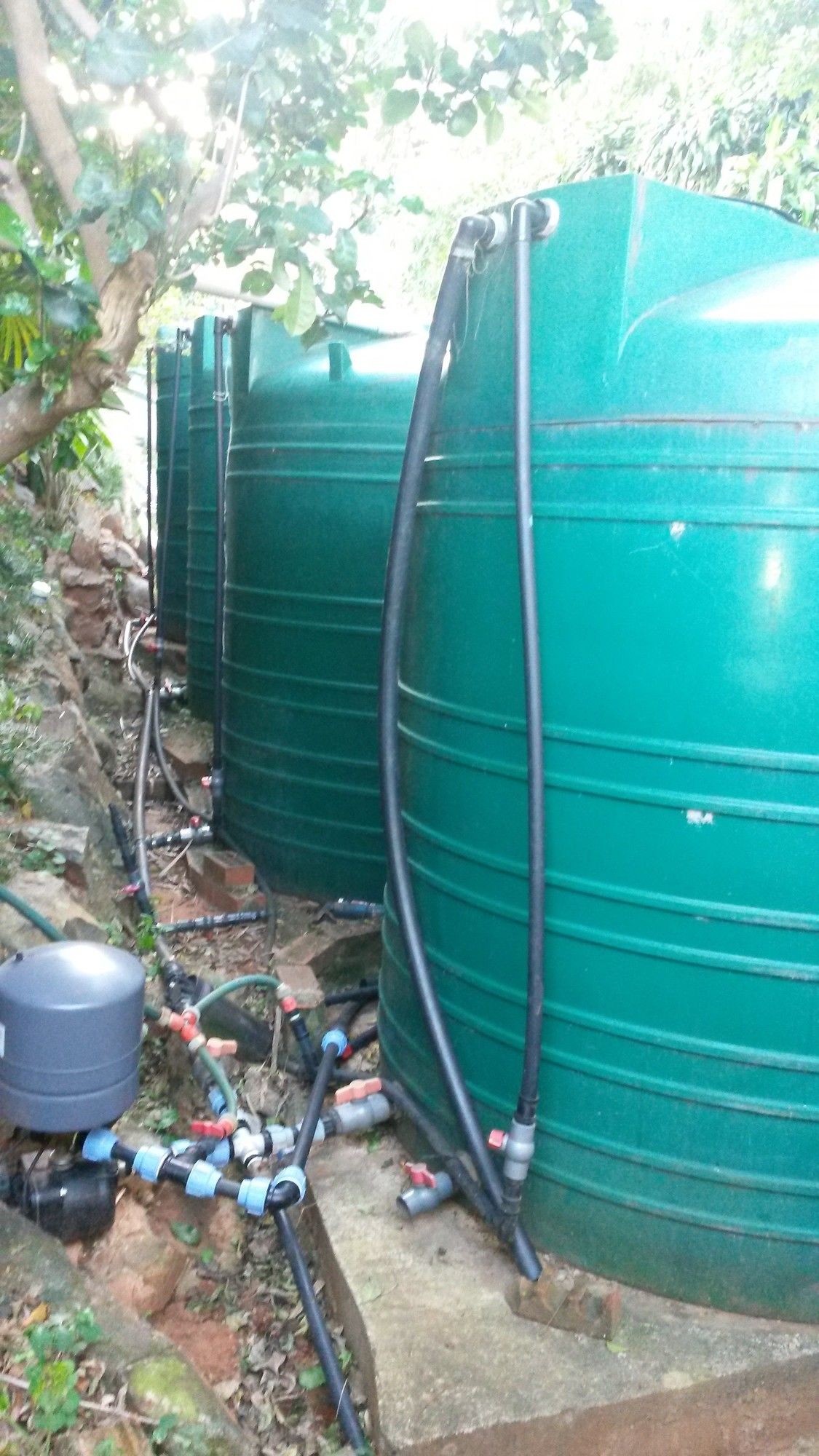 Фото Ridgeview Lodge