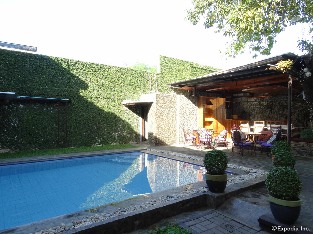 Hotel The Purple Tree Bed & Breakfast, Earth, photo