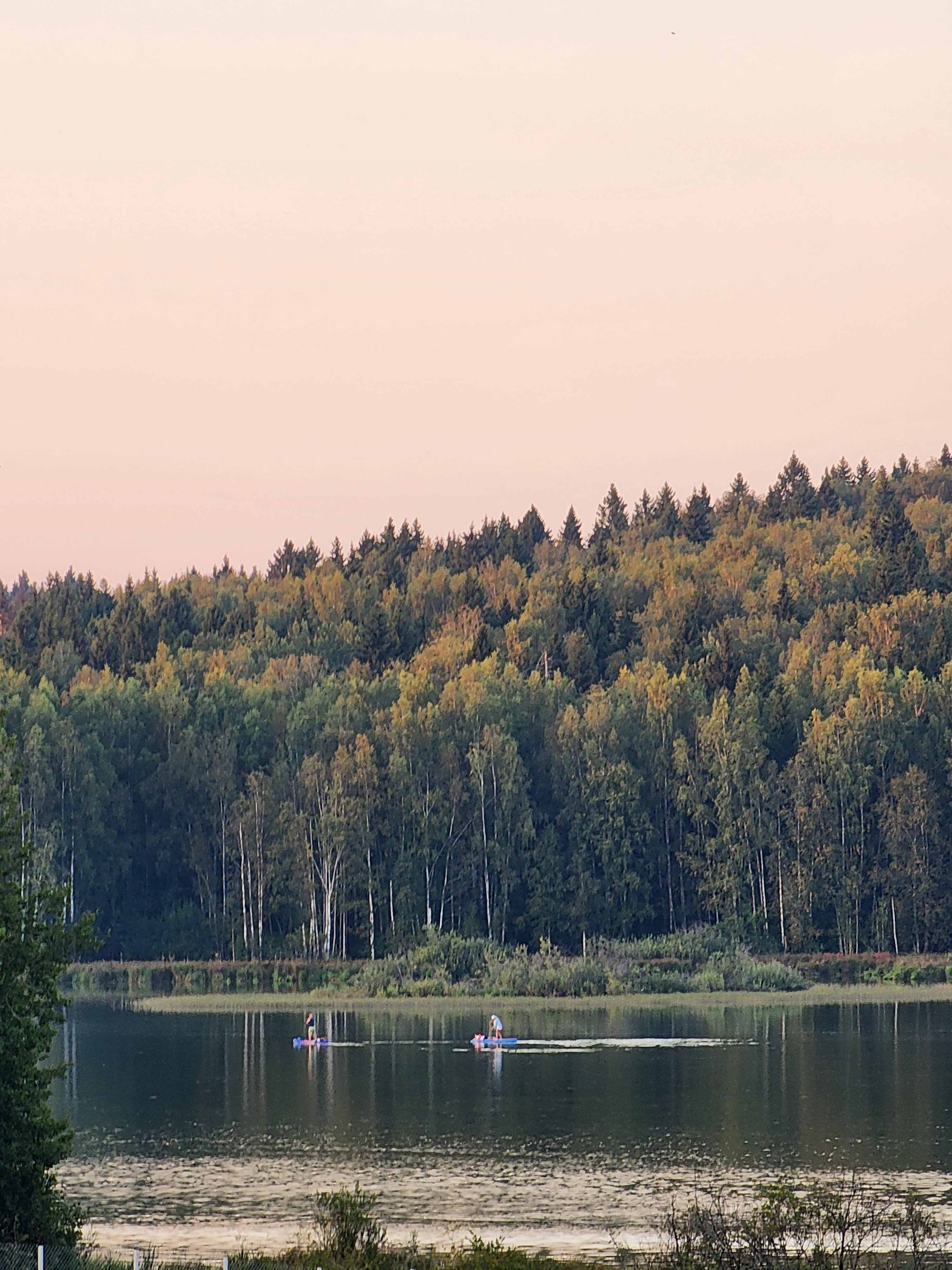 Фото Вондига парк