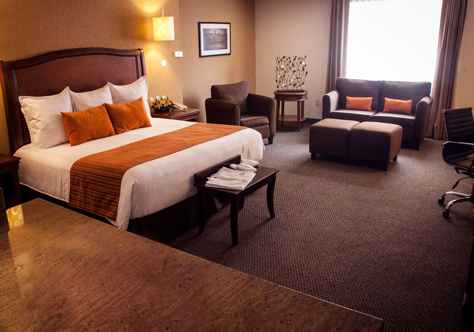 Фото Plaza Camelinas Hotel