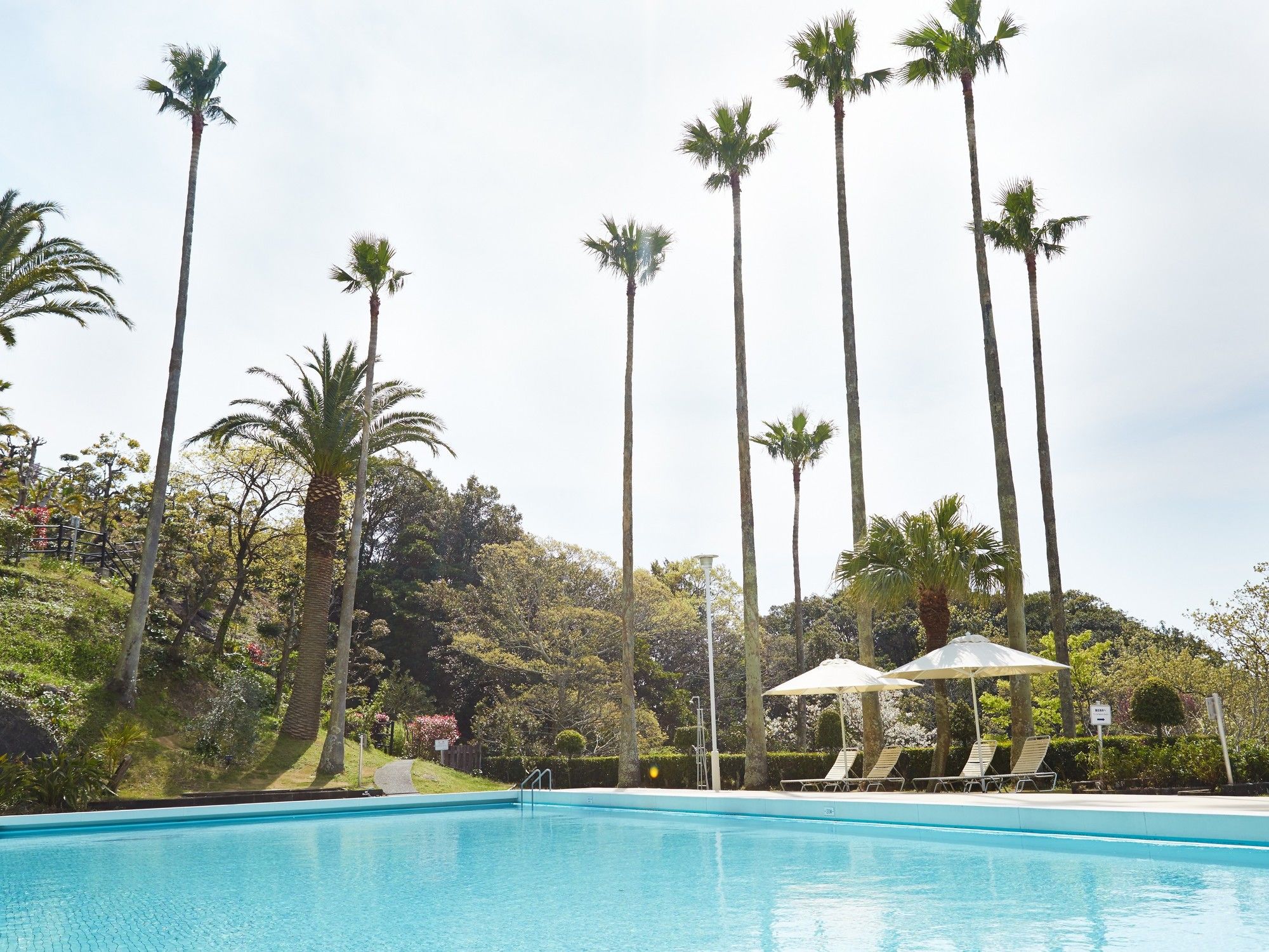 Фото Shimoda Tokyu Hotel