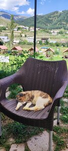 ArLi Resort (Kotayk Region, Artavaz-Pyunik village), hotel