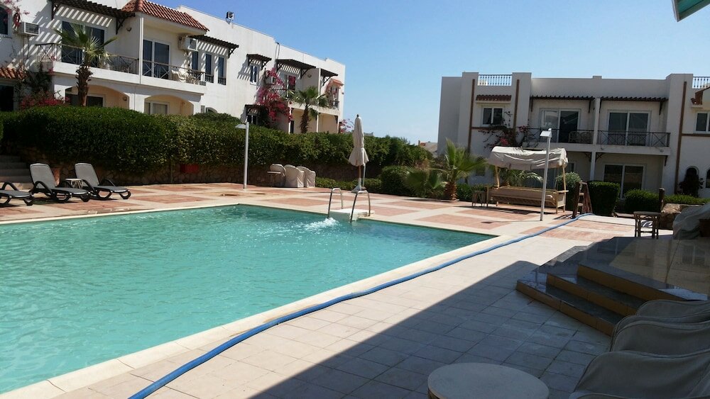 Фото Logaina Sharm