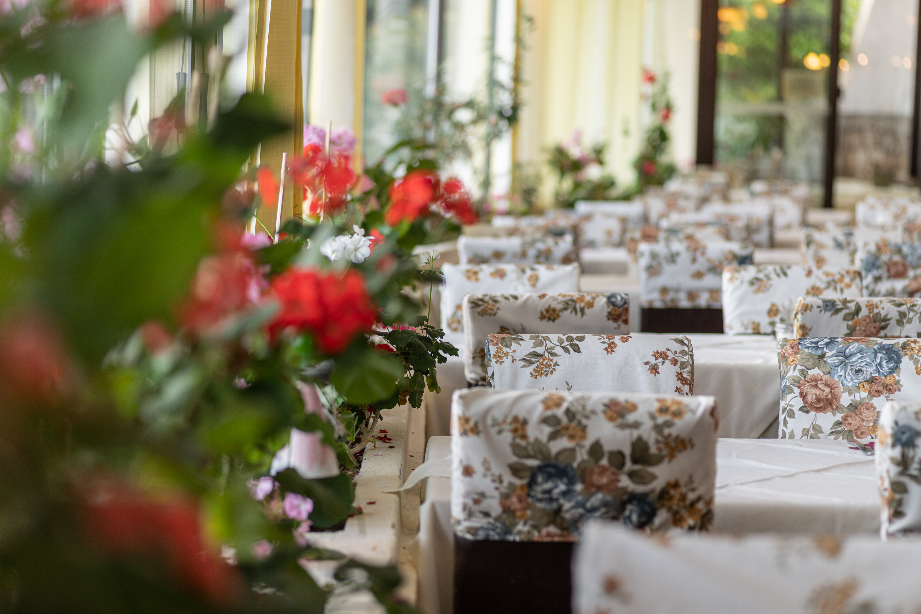 Фото Hotel Villas Plat