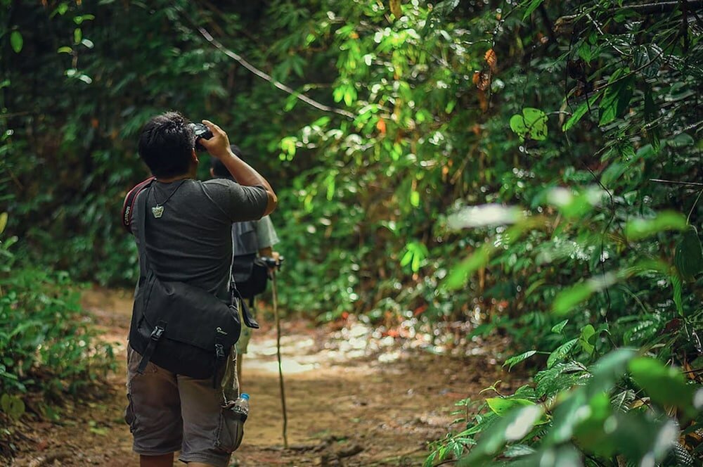 Фото Panvaree The Greenery