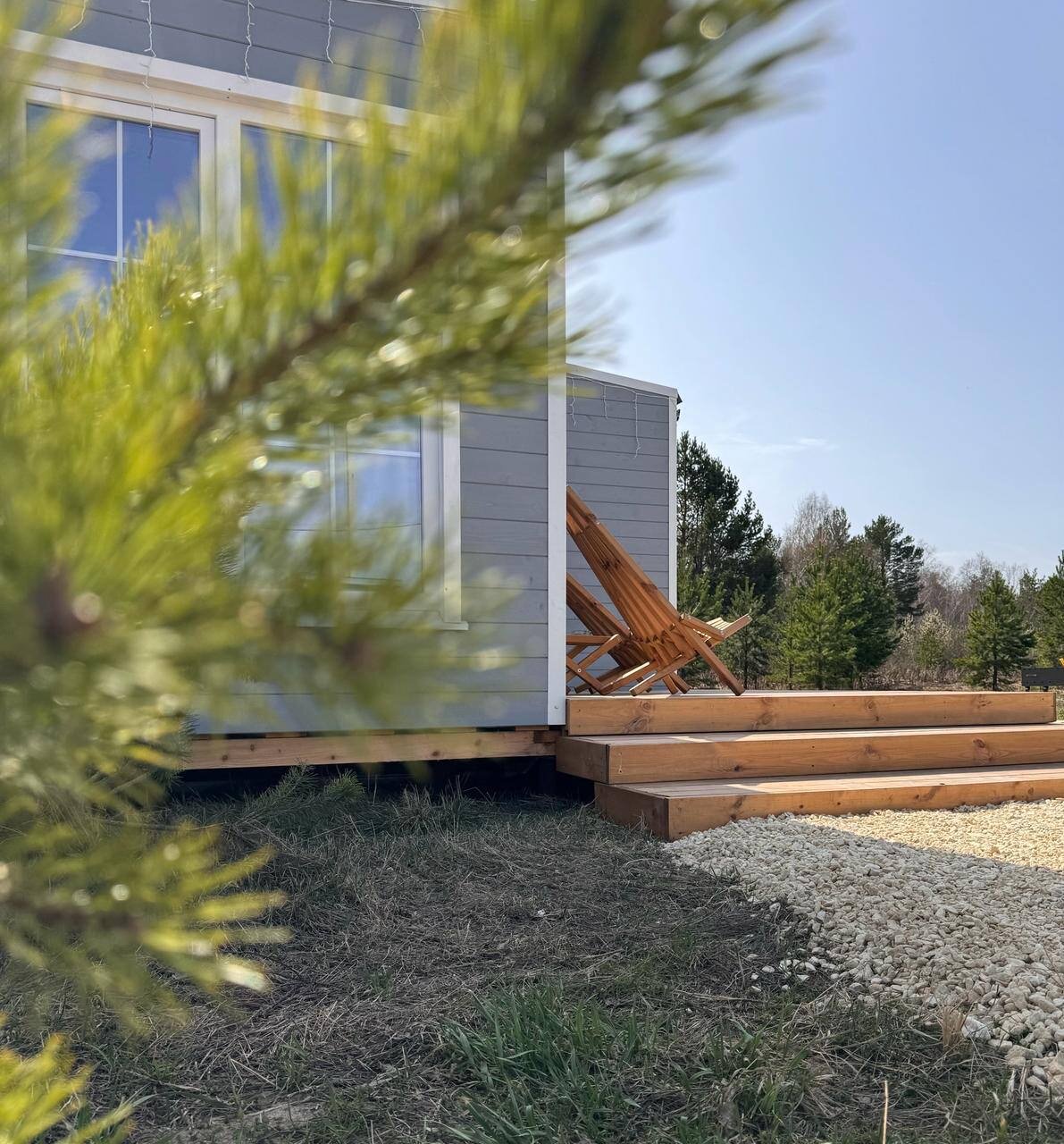 Фото Forest time