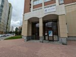 New Story (Radishcheva Street, 31), dental clinic