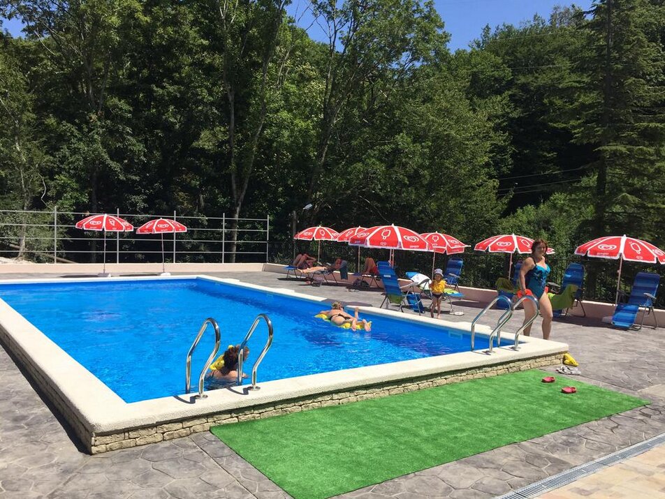 Фото Ласточка