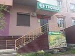 Тройка, мини-маркет (Petrovskogo Street, 10/3), supermarket