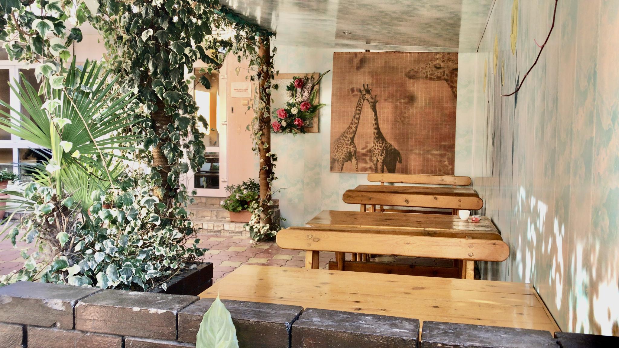 Фото Дом с дельфинами