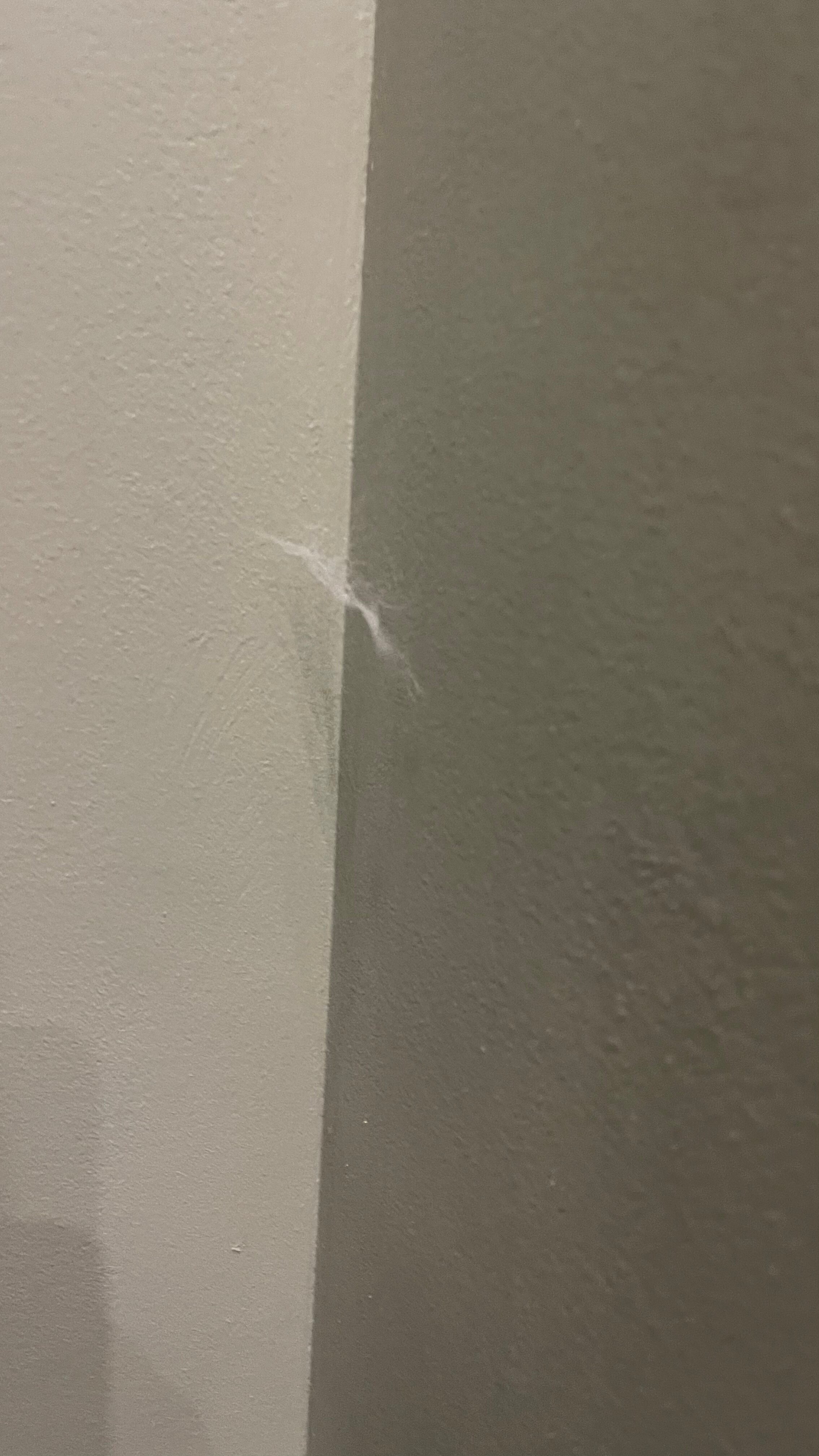 Фото Зеленый дом