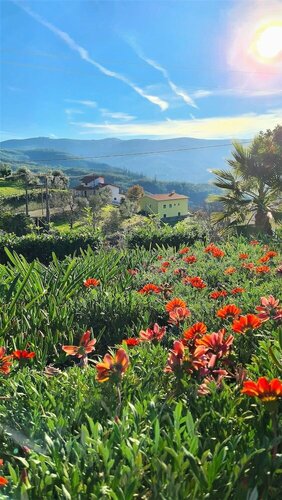 Гостиница Quinta da Palmeira - Country House Retreat & SPA