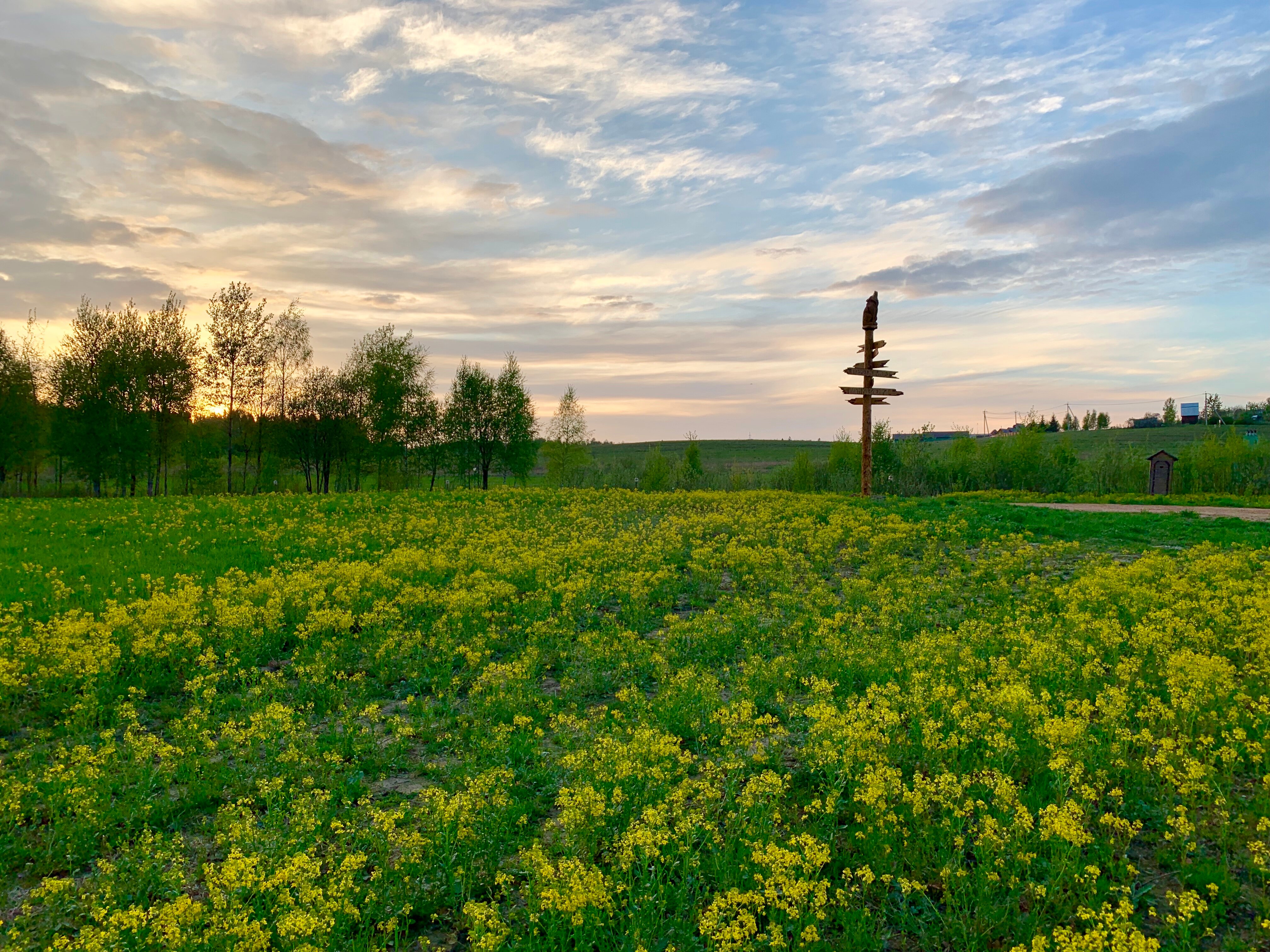 Фото Рузская Аляска
