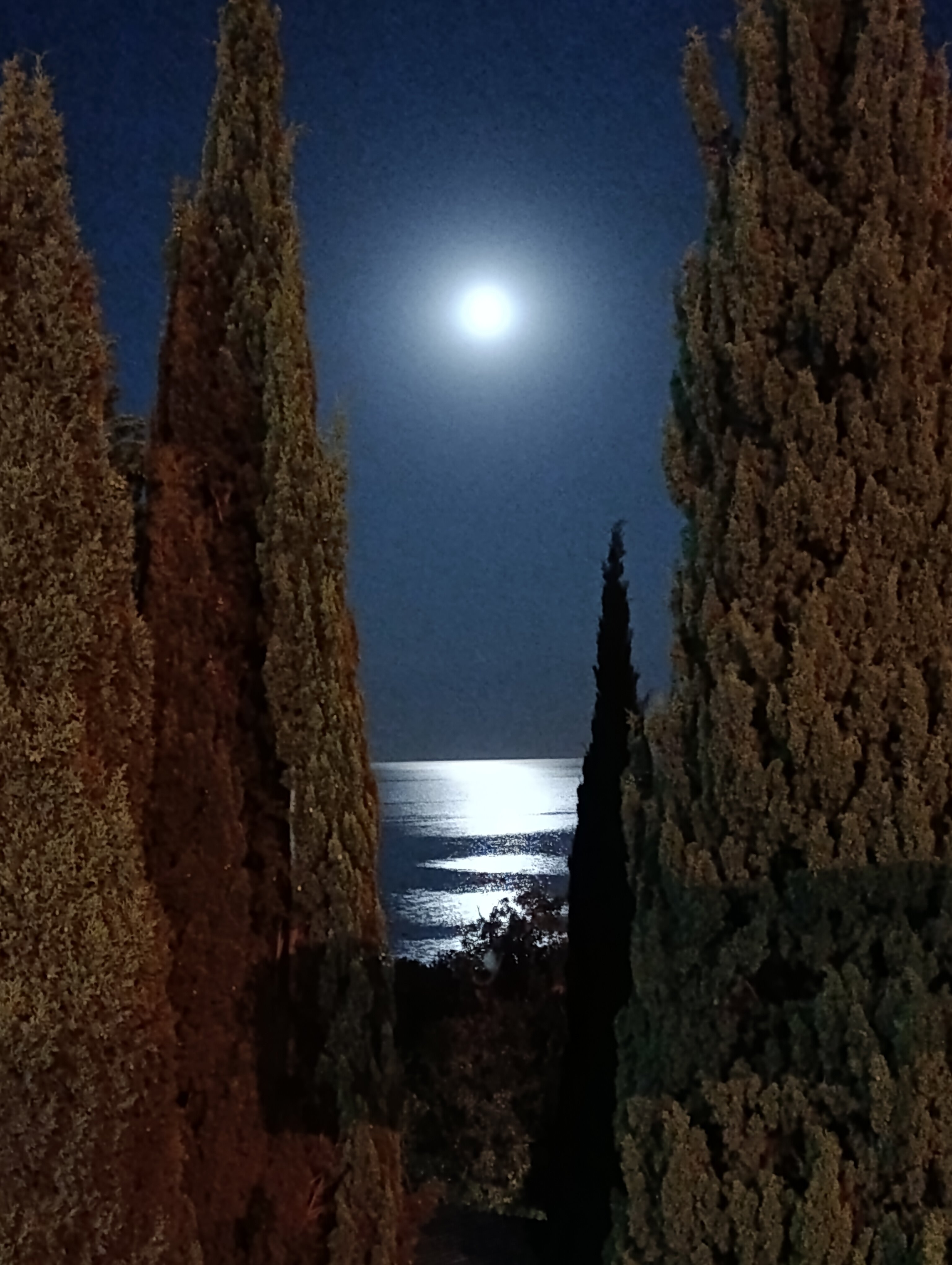 Фото Коктейль