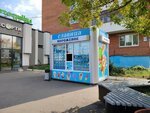 Славица (9th Pyatiletki Avenue, 5), helado