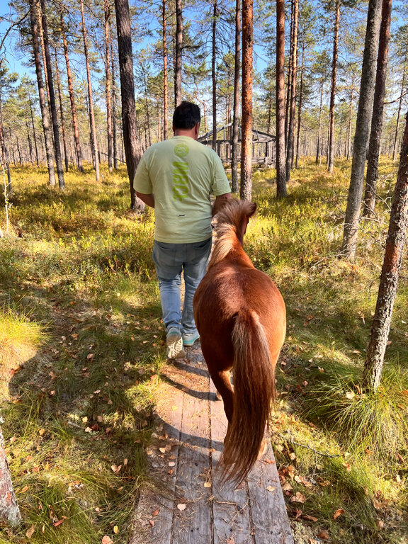 Фото Сокольский Бор