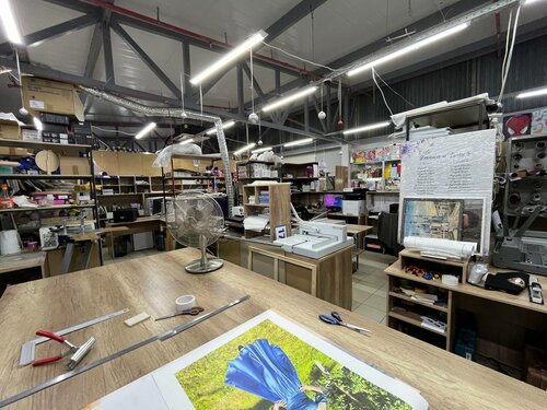 Фотосурет әйелдерді саяжайда аңдыды