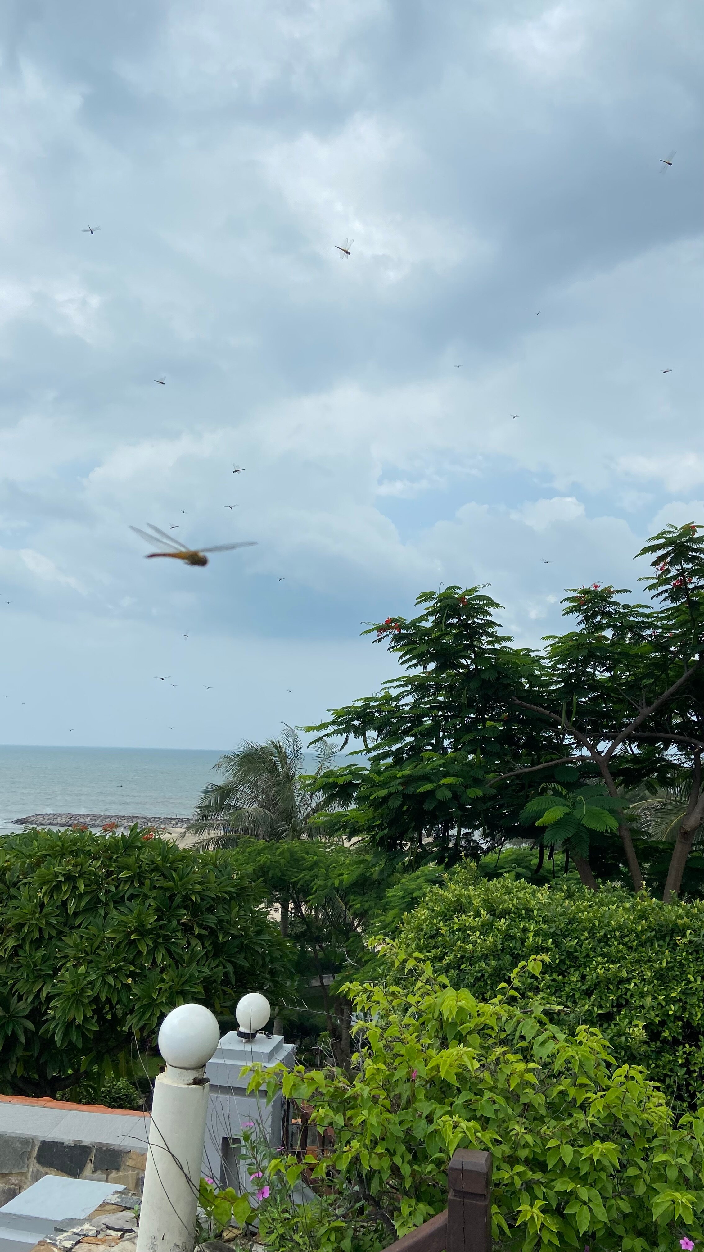 Фото Romana Resort & SPA