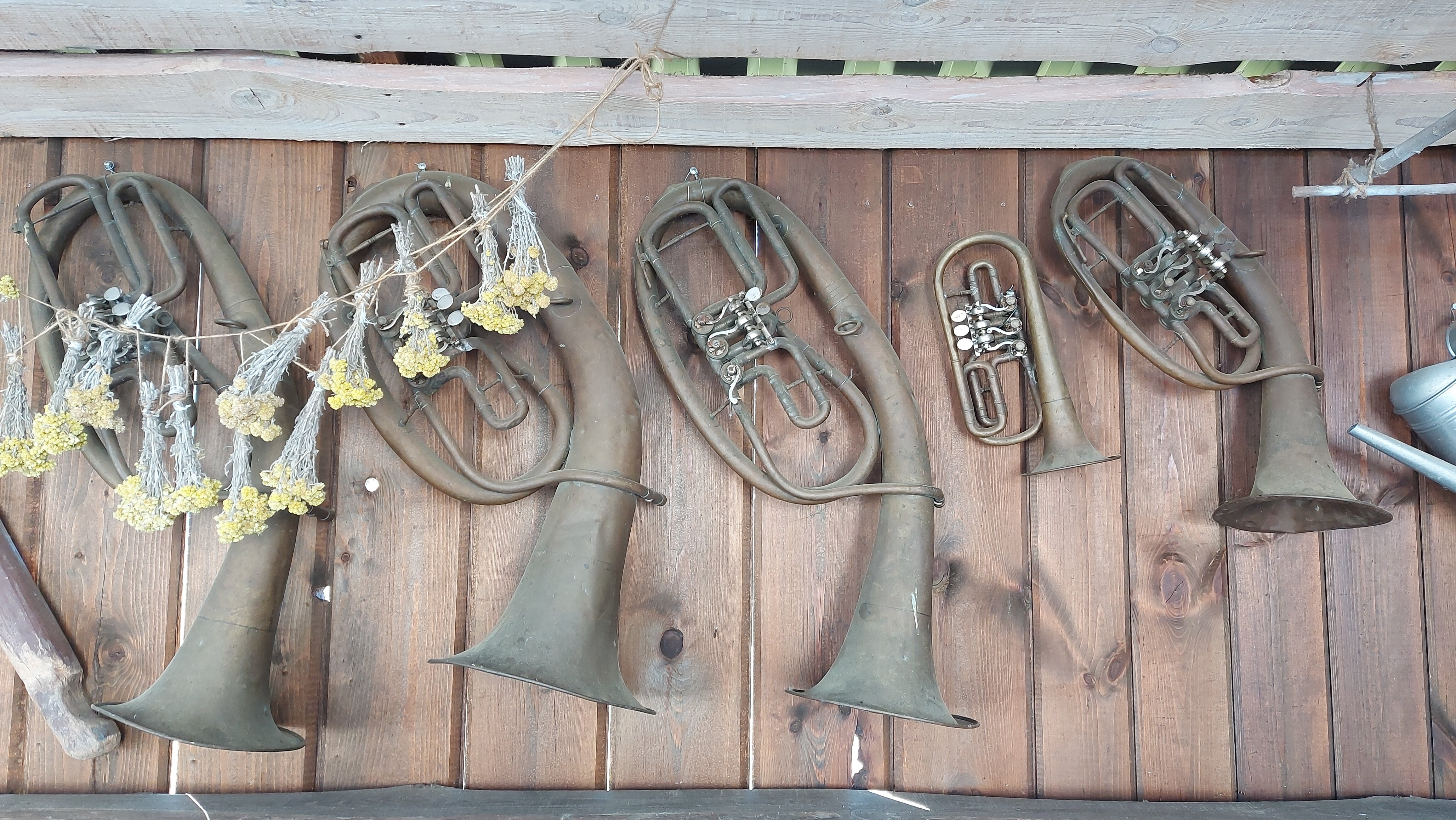 Фото Беловежское поместье