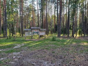 Place for picnic Дюкинские карьеры, Vladimir Oblast, photo