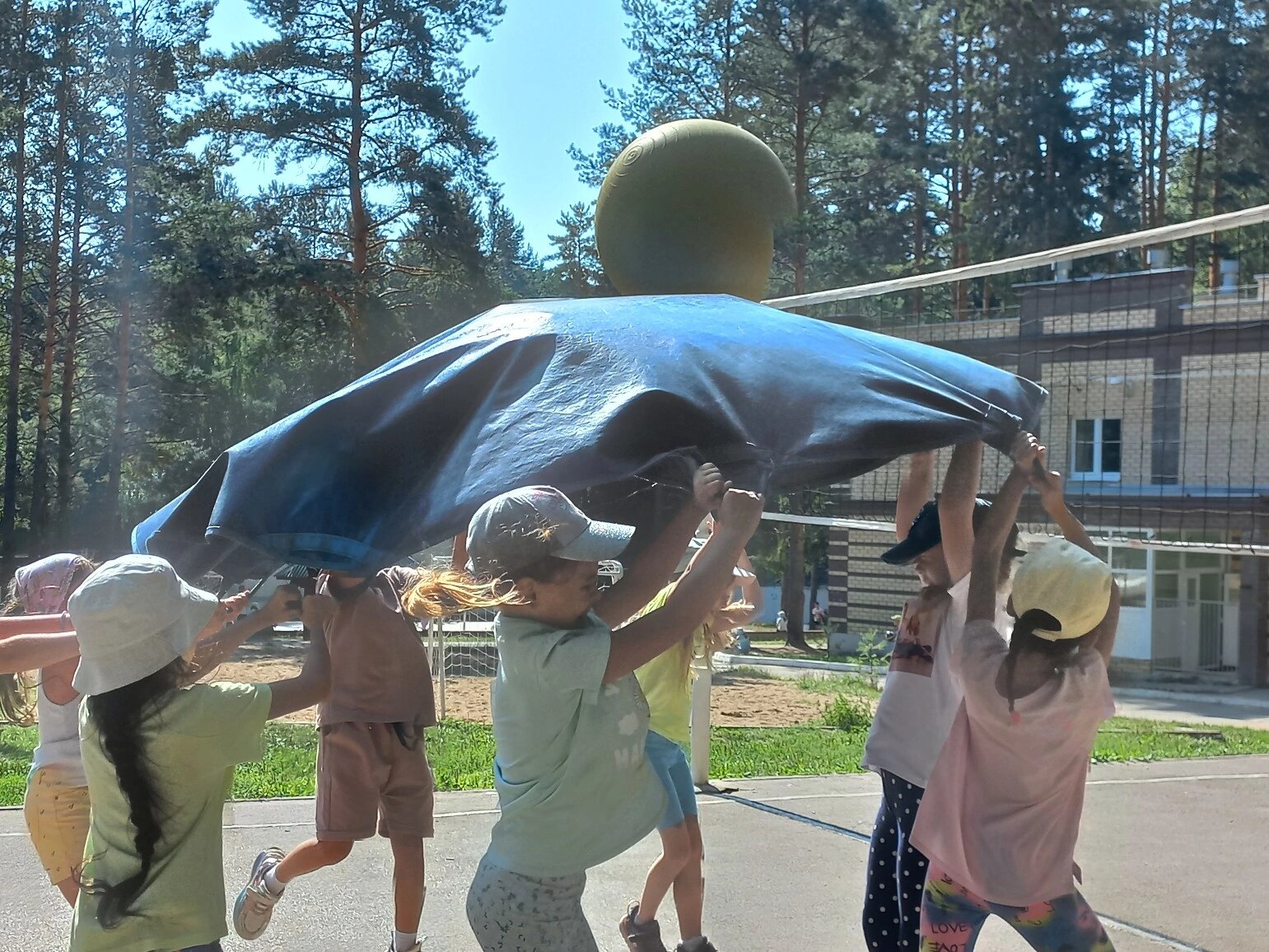 Фото Сосновый бор