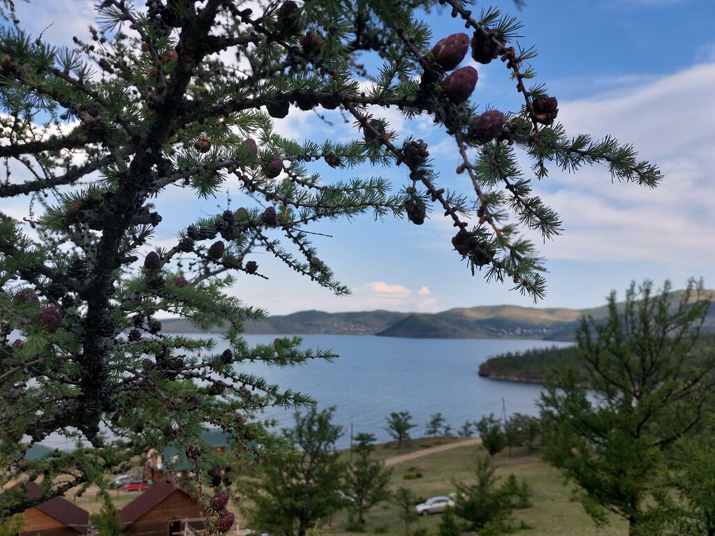 База, дом отдыха База отдыха Лазурная, Иркутская область, фото