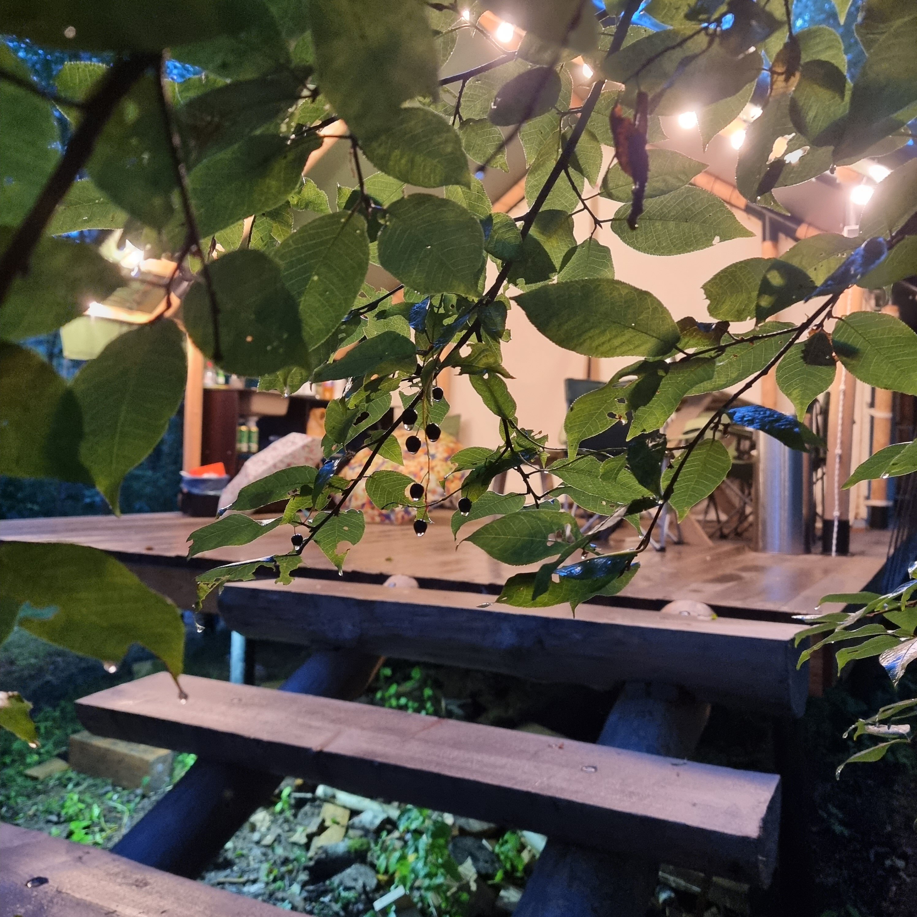 Фото Удачное Кемп