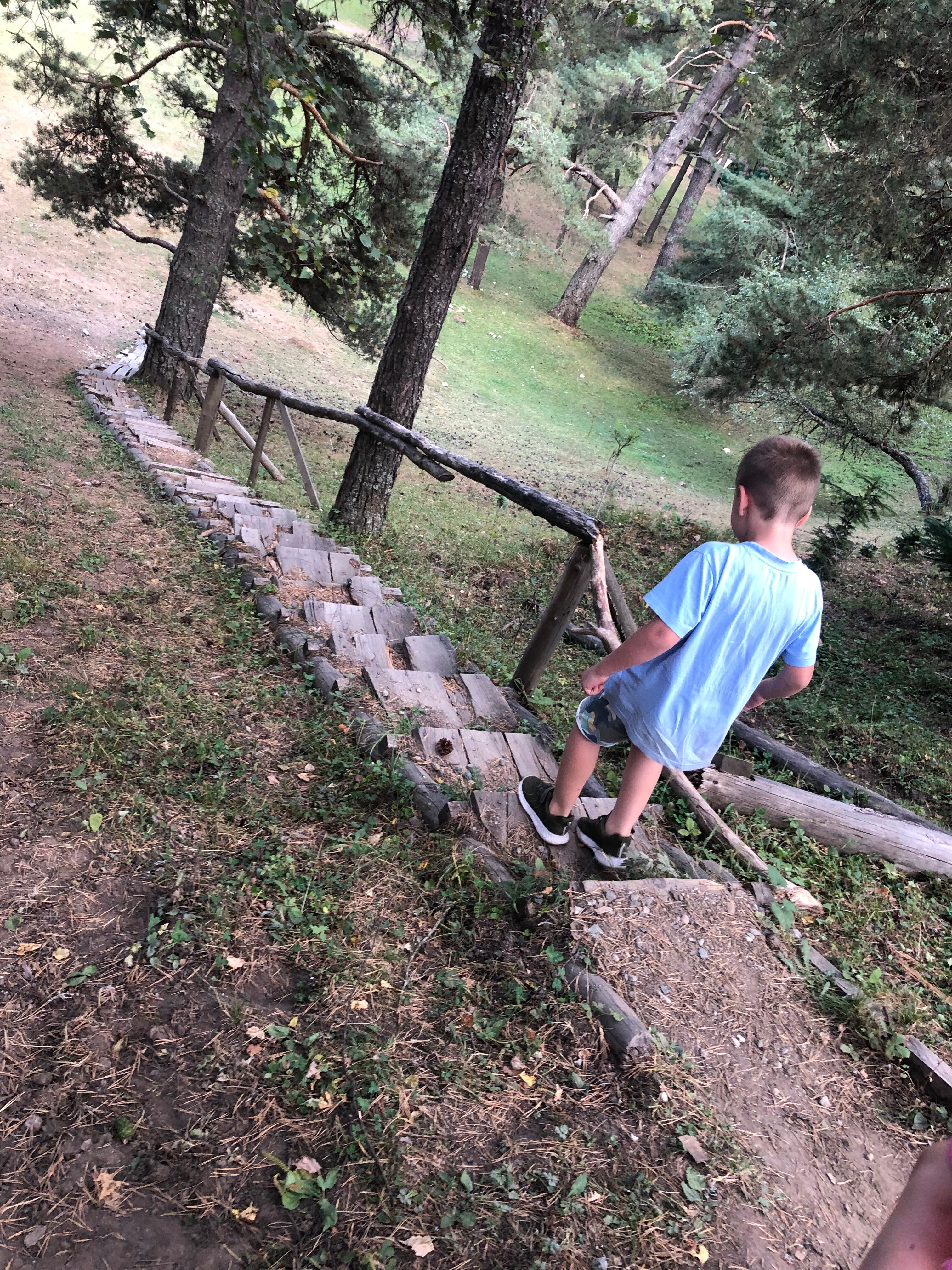 Фото Белый волк