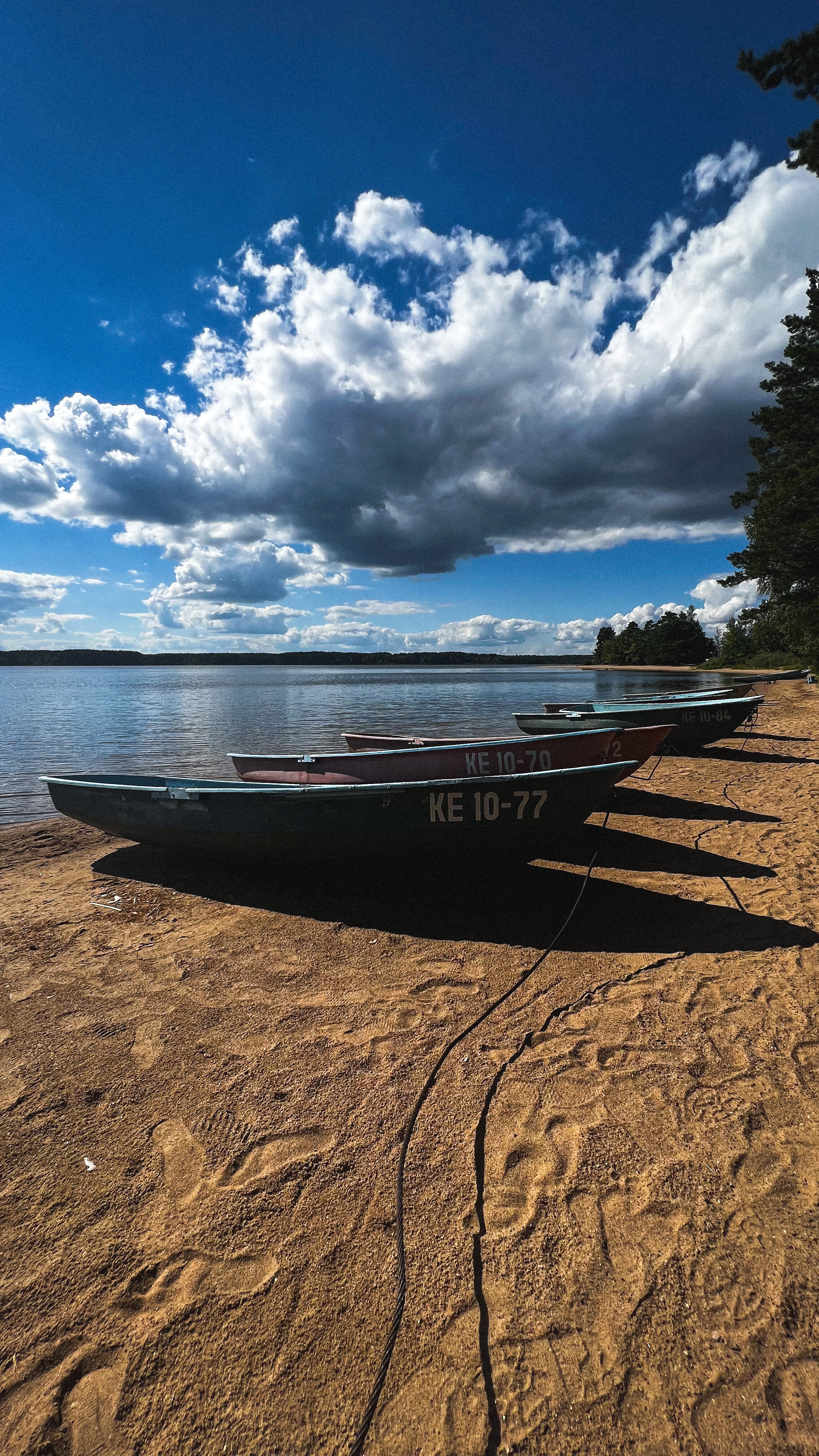 Фото Орлинка