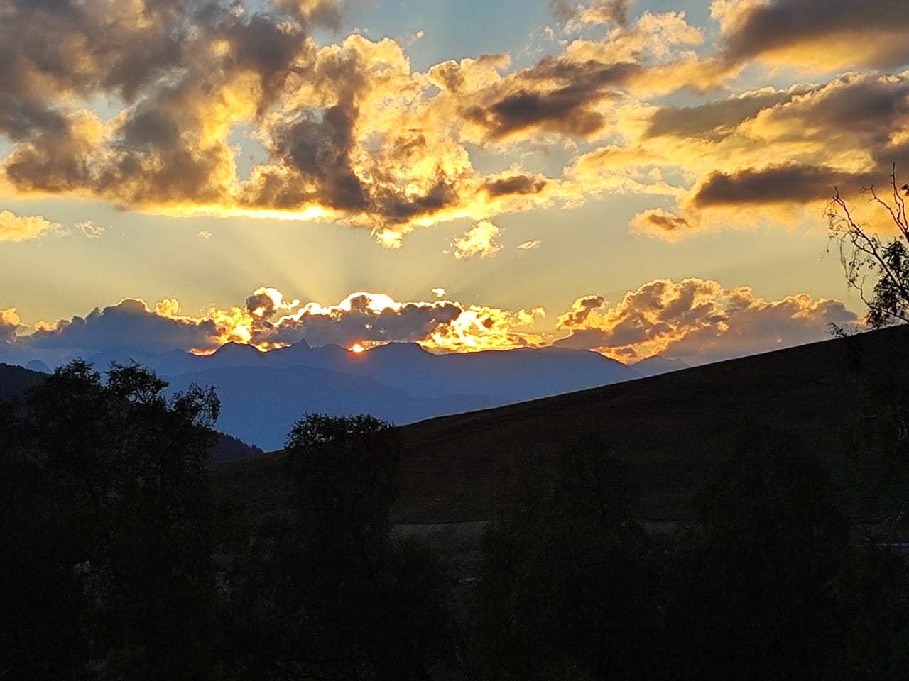 Фото Paradise Forest