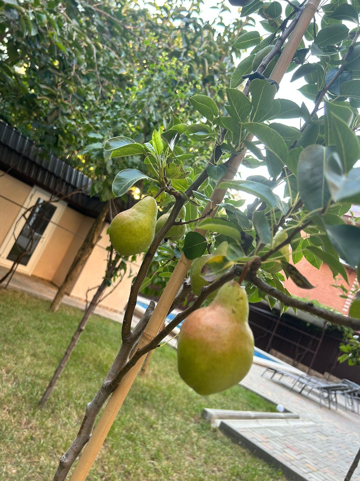 Фото Инфинити