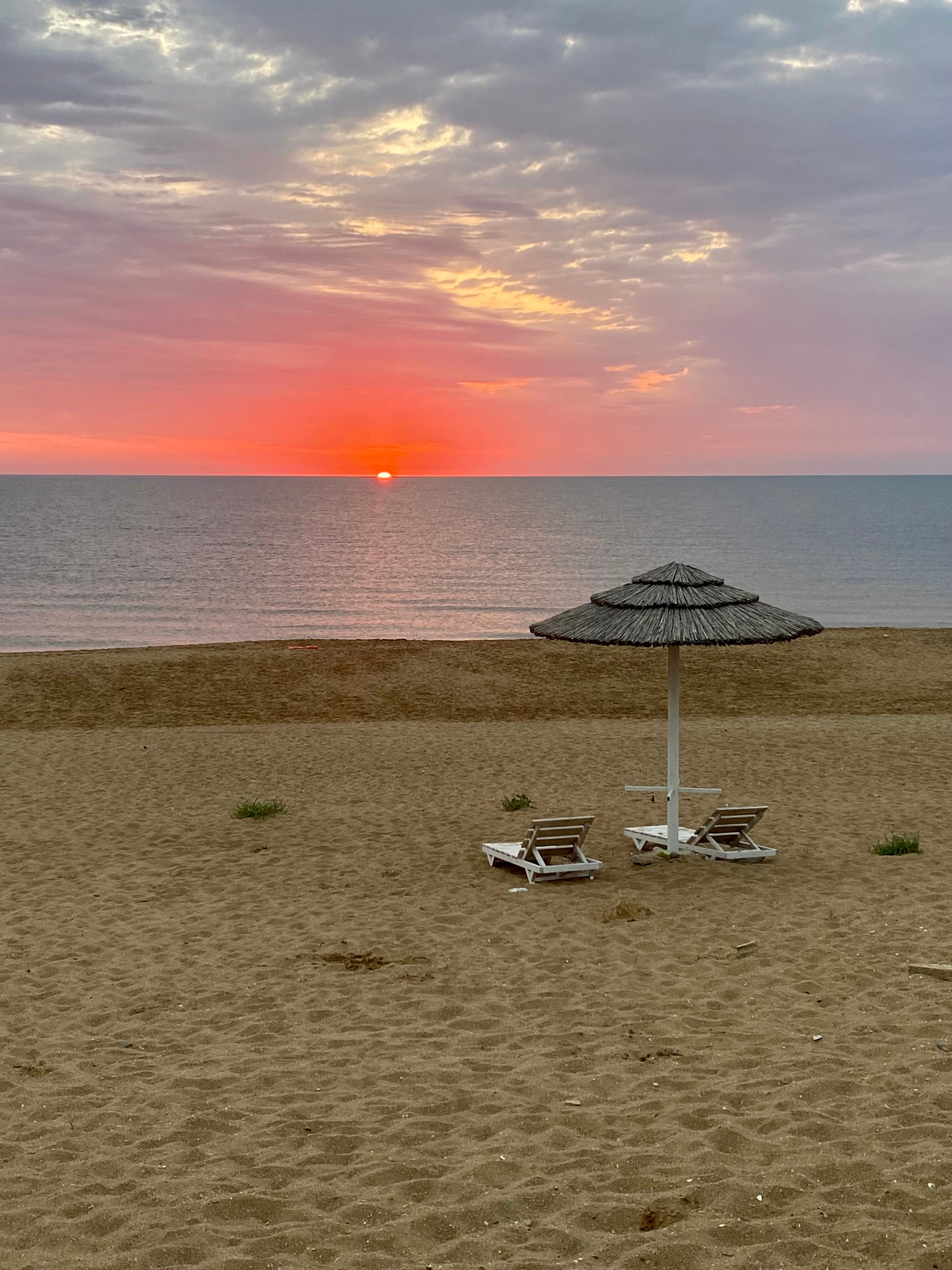 Фото Белый кит