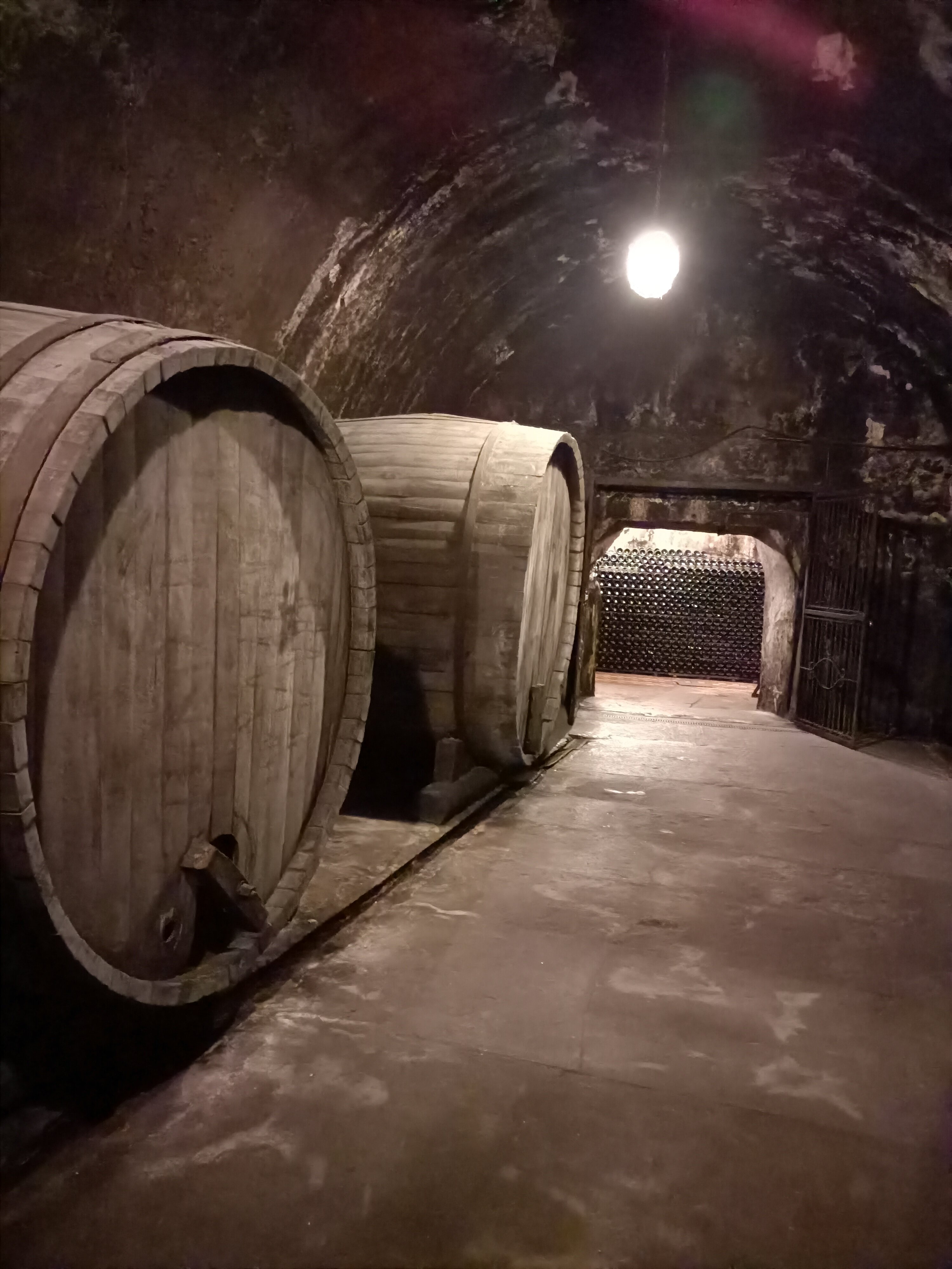 Фото Августин