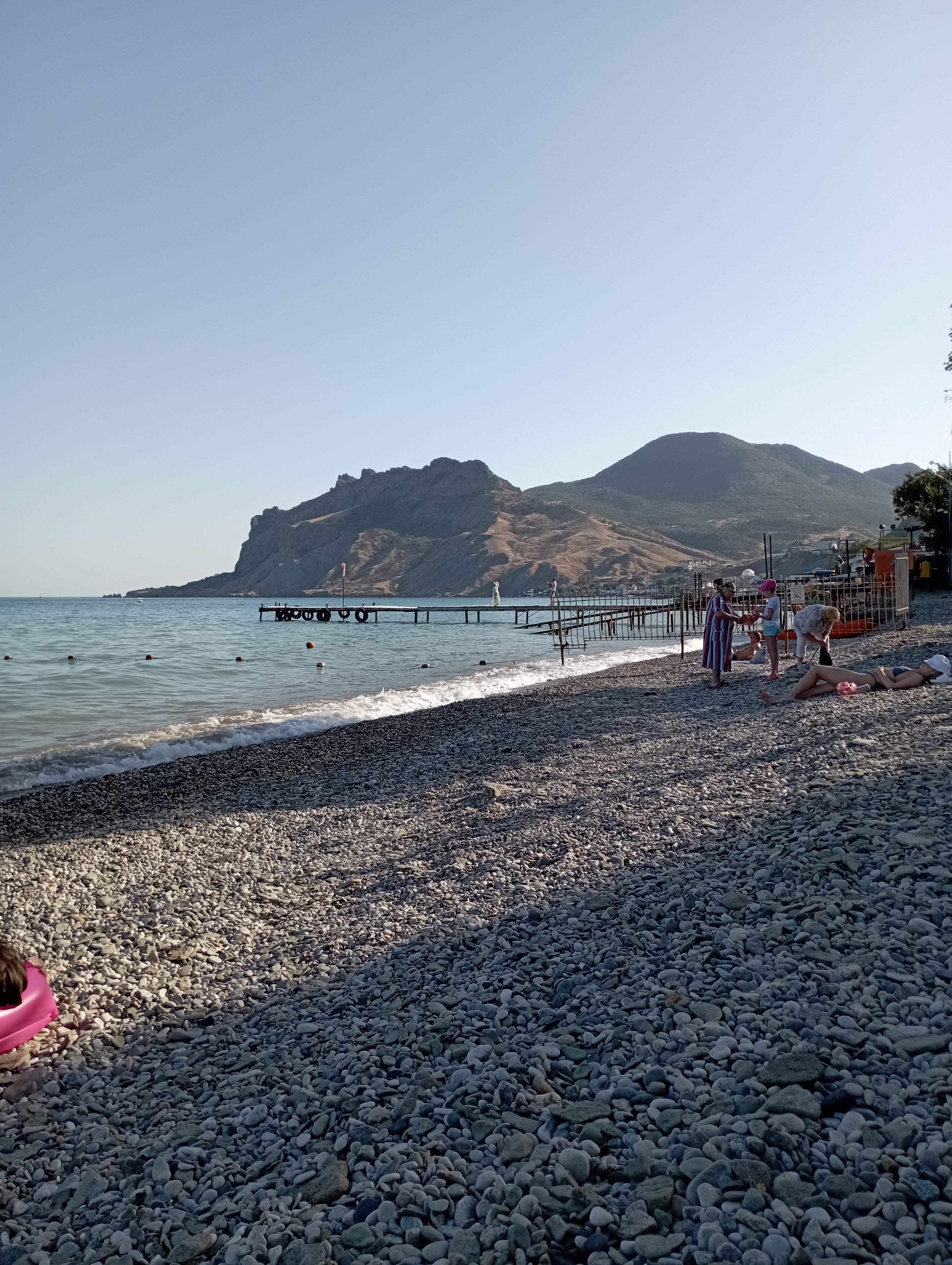 Фото Камелия-Кафа