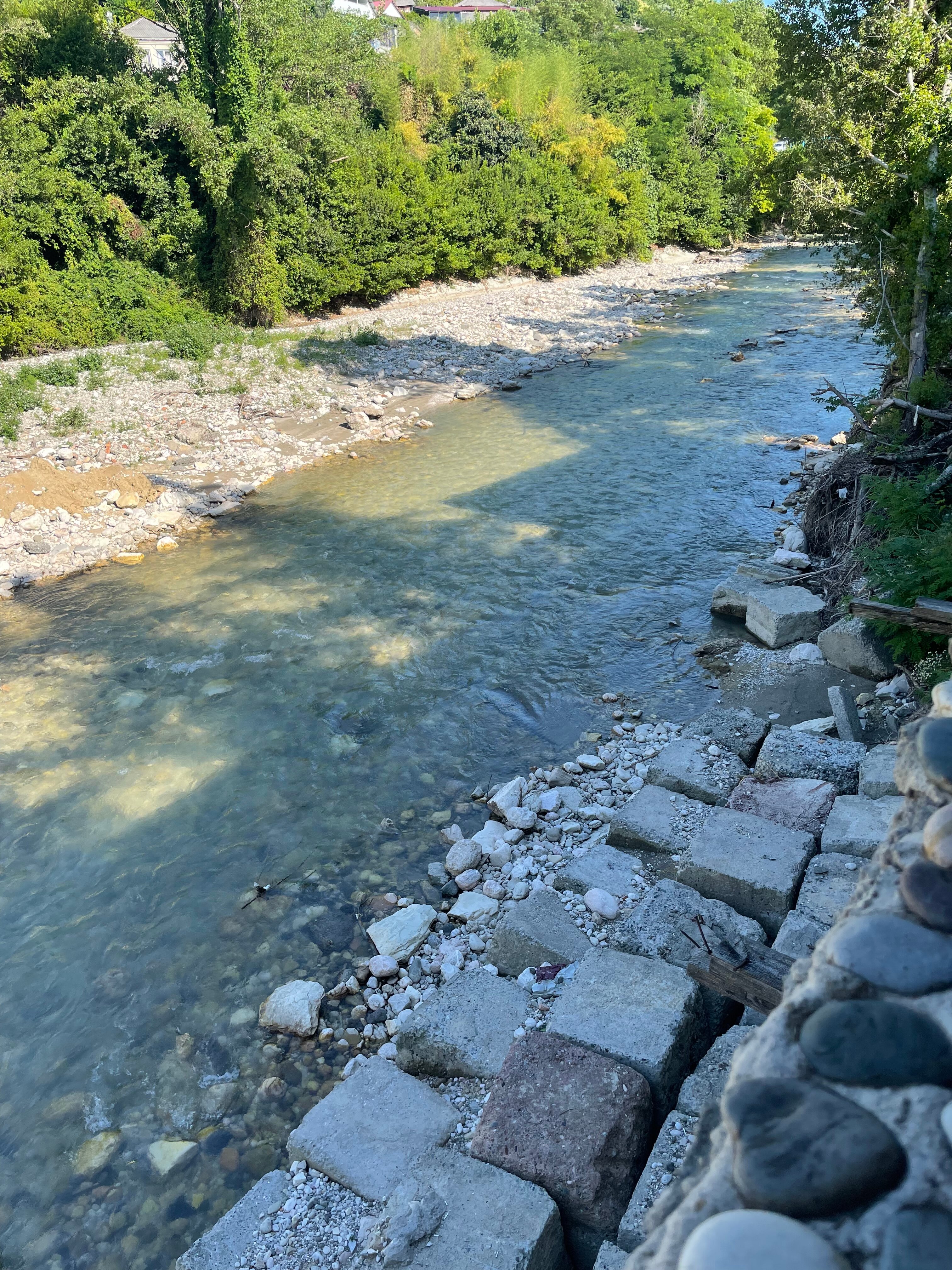 Фото Гости Кавказа