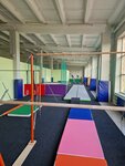 Центр гимнастики Эталон (ул. Тевосяна, 25), спортивный клуб, секция в Электростали