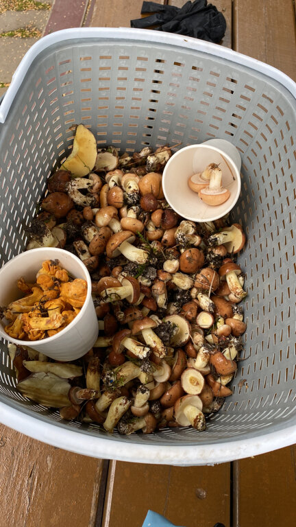 Фото Пухтолова Гора