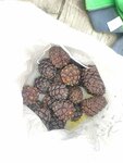 Шишка Алтая (Kosmonavtov Avenue, 32М), nuts, snacks, dried fruits