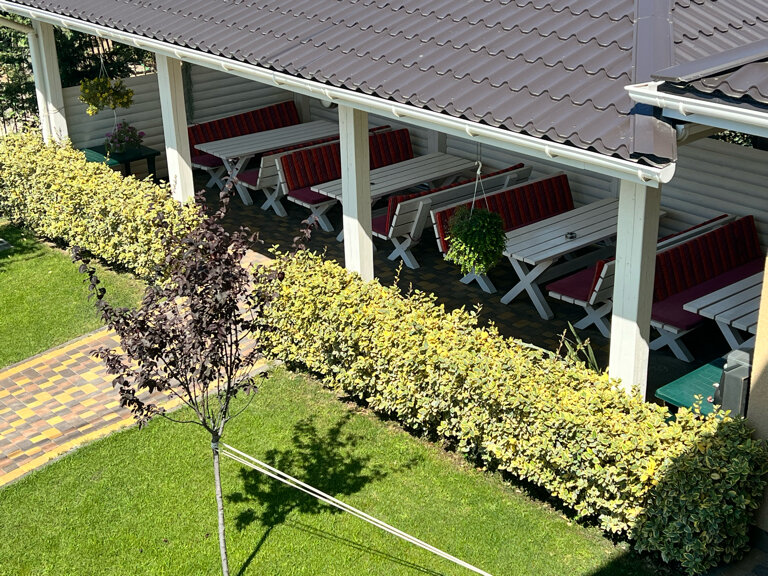 Фото Каштан