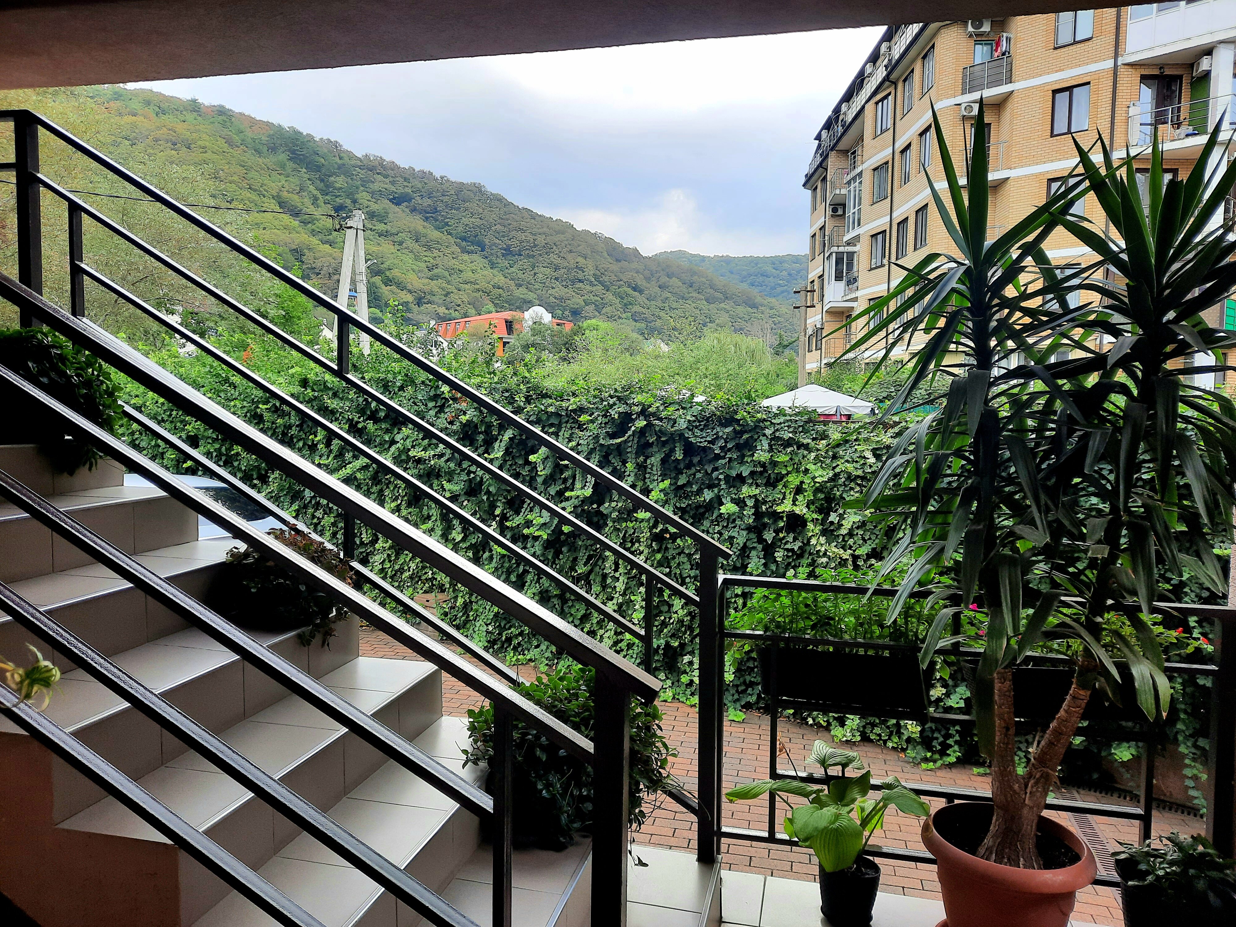 Фото Гостевой дом Шоколад