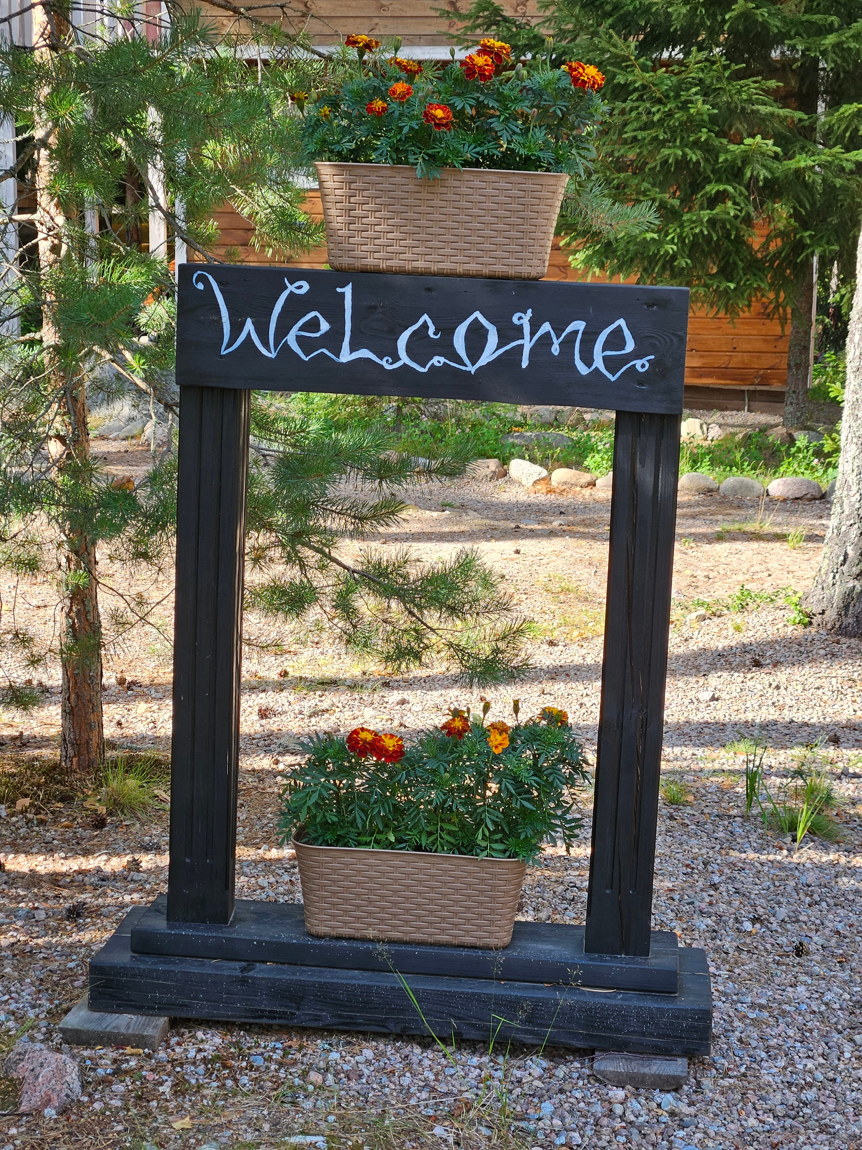 Фото Черная лиса