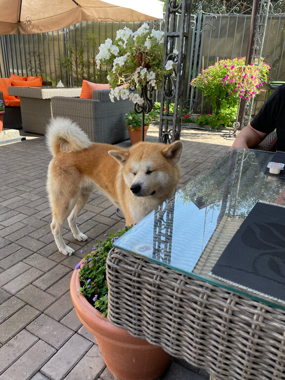 Фото Марокко