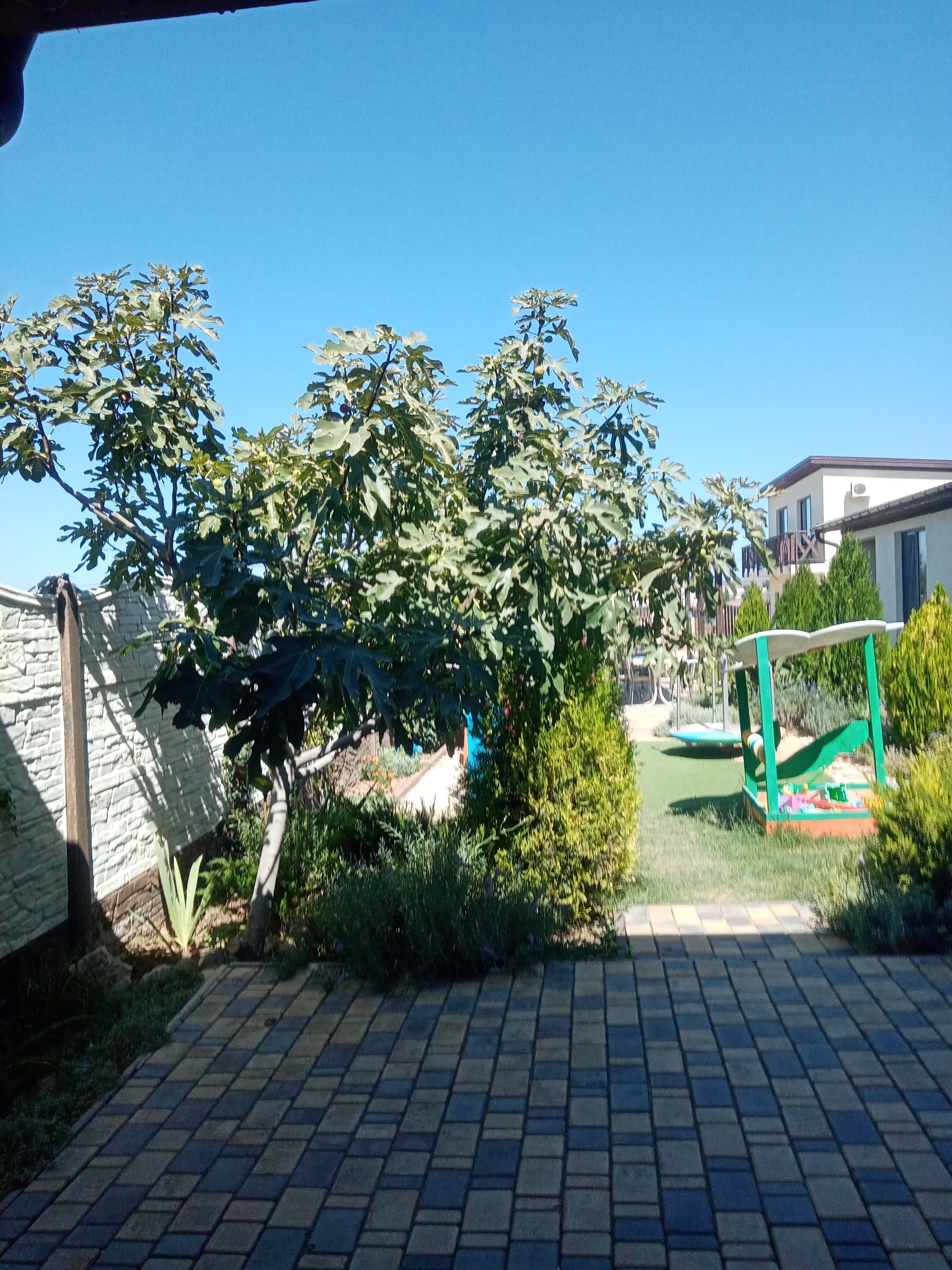 Фото Солнечный