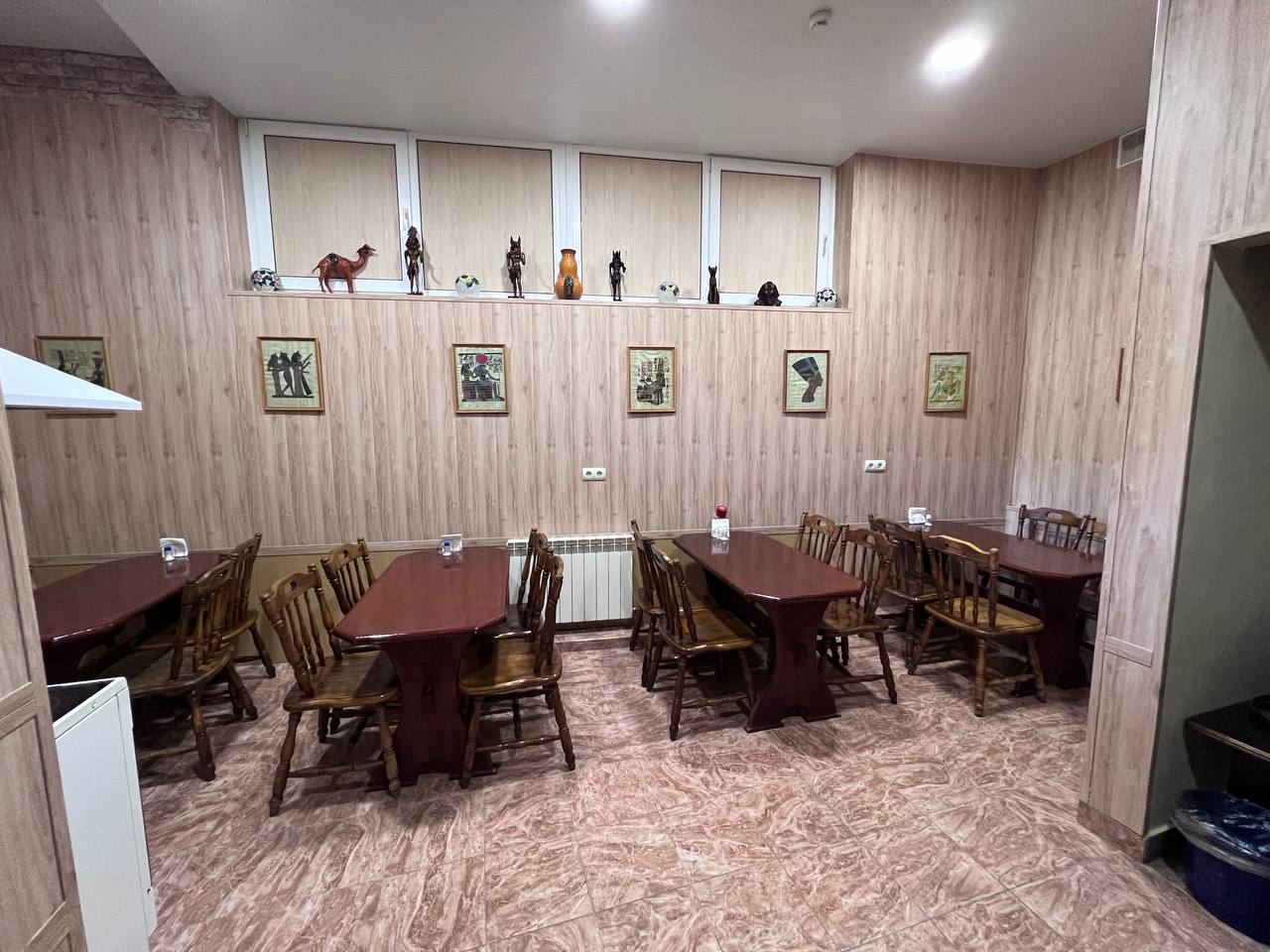 Фото Викинг